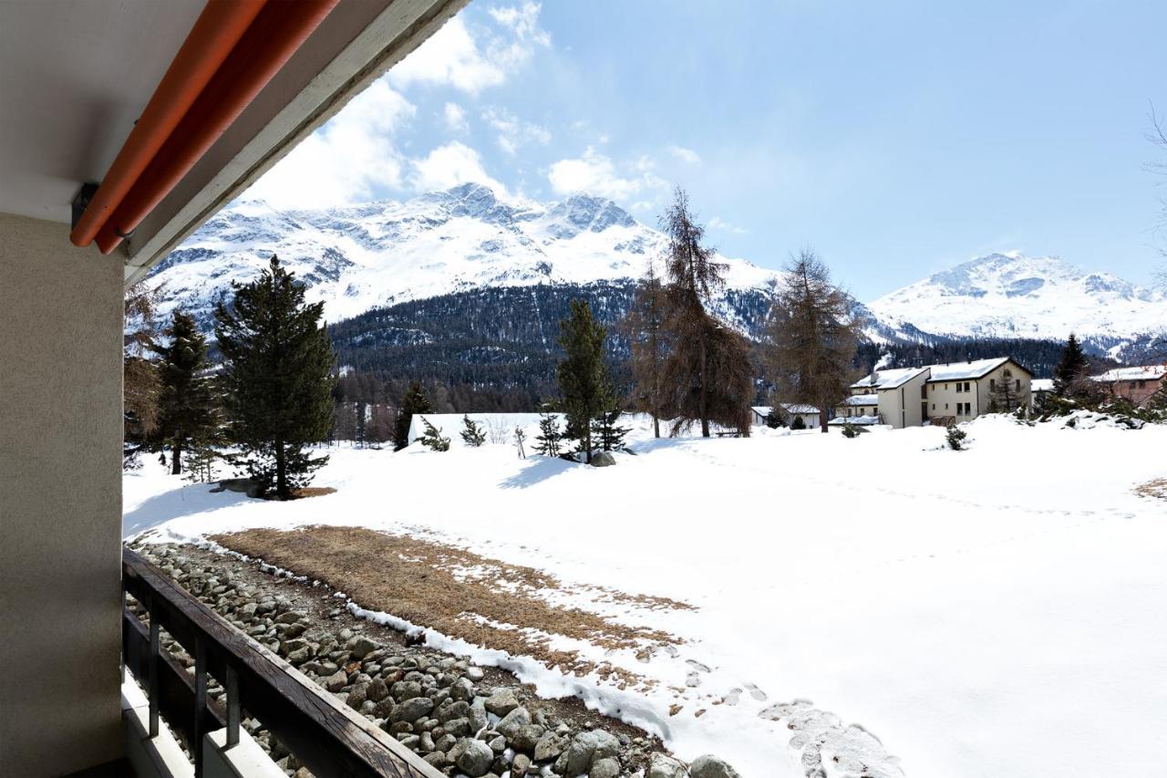 Gemuetliches Studio In Champfer/St.Moritz St. Moritz Exterior foto